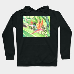 Pride of Barbados Hoodie